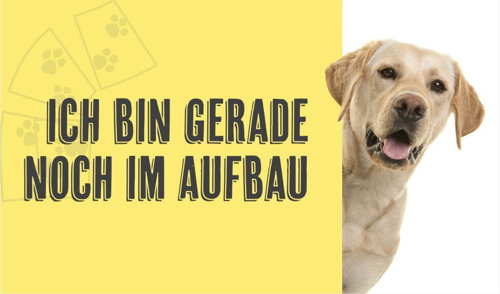 seite im aufbau monkimau